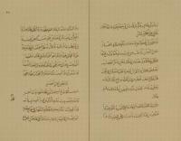 حل أبيات ابن الرومي